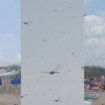 Massive dragonfly swarms delight some beachgoers, terrify others