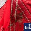 Midges thriving in wet Scottish summer – and experts say worse is to come