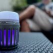 Moustiques : la lumière bleue des leds protège-t-elle vraiment des piqûres ?