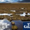 Northern Scotland’s Flow Country becomes world heritage site