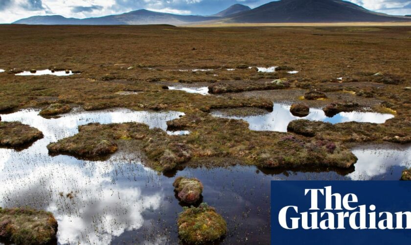 Northern Scotland’s Flow Country becomes world heritage site