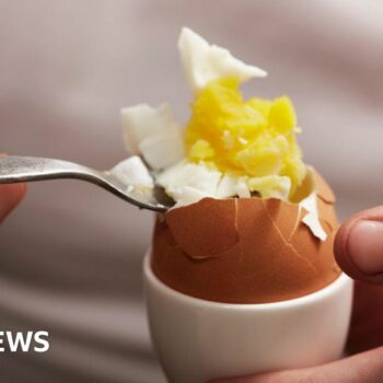 Not an oeuf: Athletes report eggs shortage in Olympic village