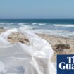 Number of plastic bags found on UK beaches down 80% since charge introduced