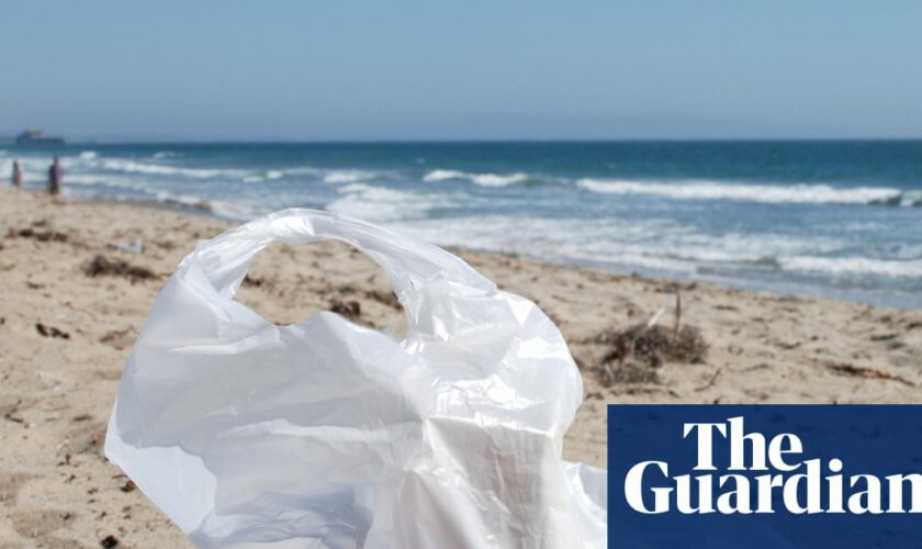 Number of plastic bags found on UK beaches down 80% since charge introduced