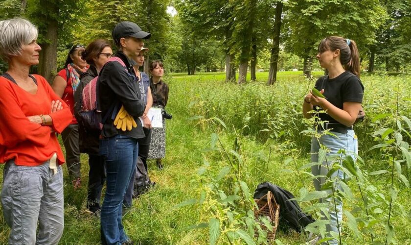 « On touche la terre, on est bien » : une balade pour se reconnecter à la nature au domaine de Saint-Cloud