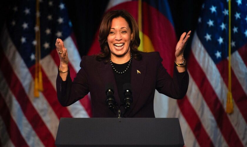 Présidentielle américaine : Kamala Harris, Garvin Newsom… quelles chances ont les remplaçants potentiels de Joe Biden ?