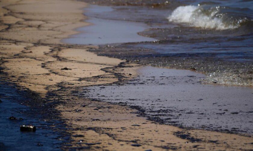 Reanudan la limpieza del vertido de hidrocarburos mientras sigue prohibido el baño en tres playas de Valencia