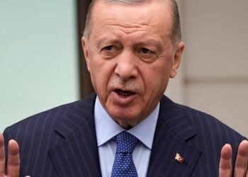 Recep Tayyip Erdoğan verteidigt »Wolfsgruß«-Jubel von Merih Demiral