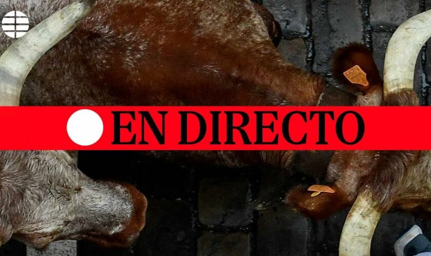 Séptimo encierro de San Fermín 2024 hoy, sábado 13 de julio: vídeo en directo