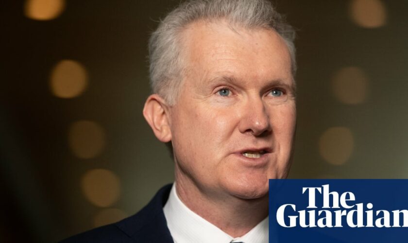 Tony Burke blasts ‘idiotic’ suggestion he would weaken security checks for Palestinians