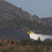 Un incendio en Casares, en la sierra de Málaga, obliga a desalojar varias viviendas