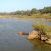 Unesco : le plus grand parc naturel du Sénégal retiré de la liste du patrimoine en péril