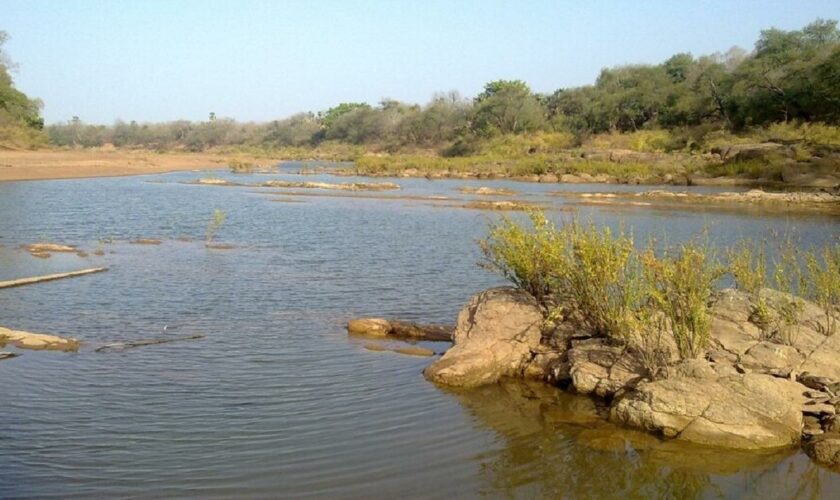 Unesco : le plus grand parc naturel du Sénégal retiré de la liste du patrimoine en péril