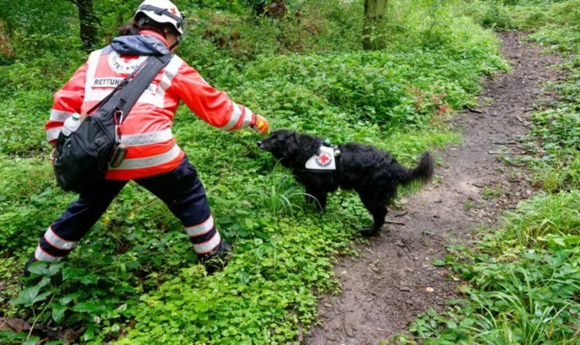 Polizei sucht mit Großaufgebot nach vermisstem Mädchen Foto: Henning Kaiser/dpa