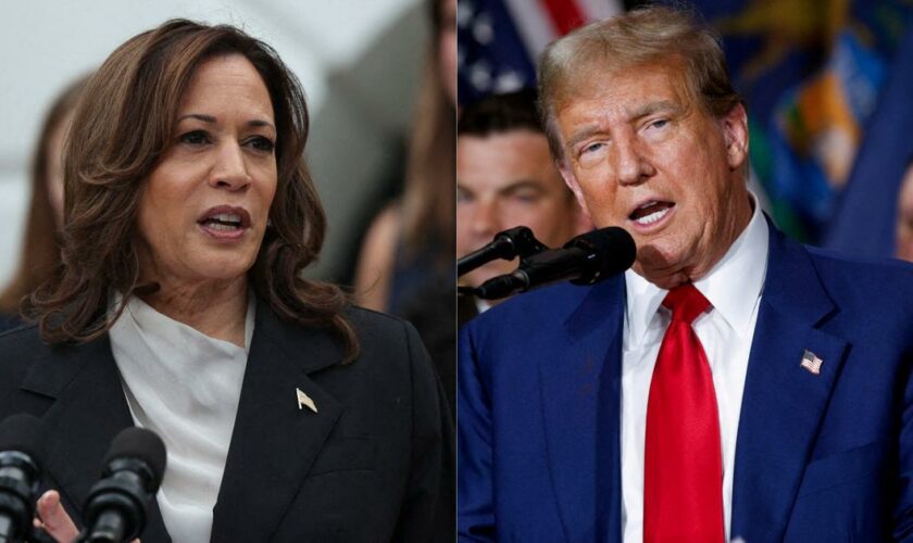 Vidéos truquées, IA, effets spéciaux… la guerre de la pub entre Kamala Harris et Donald Trump