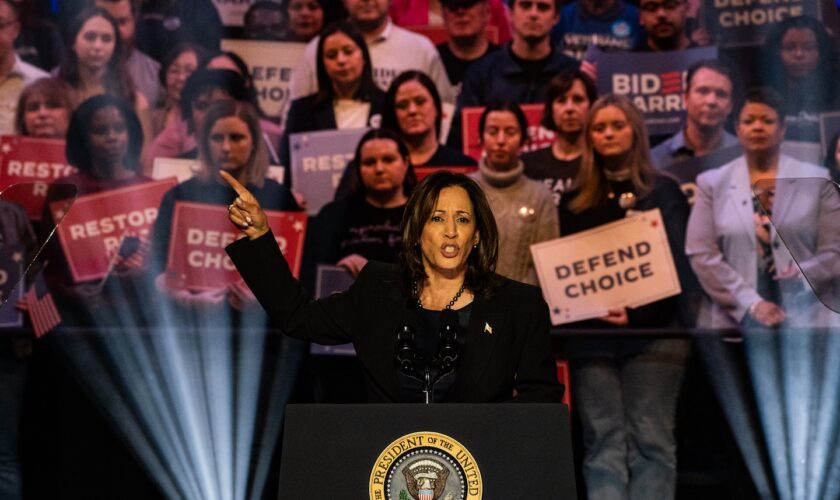 Virginia DNC delegates vote overwhelmingly to endorse Harris