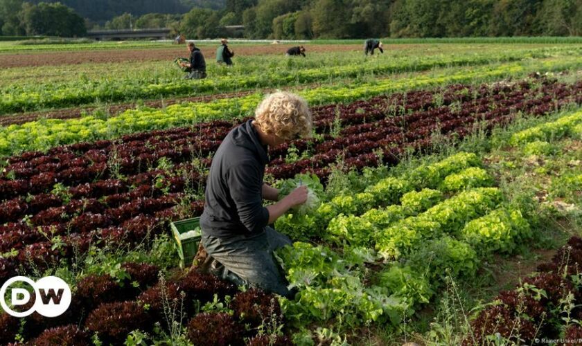 Warum junge Deutsche keine Lust auf Landwirtschaft haben