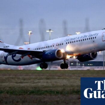 Why is Rex in a trading halt and could the airline be in trouble?