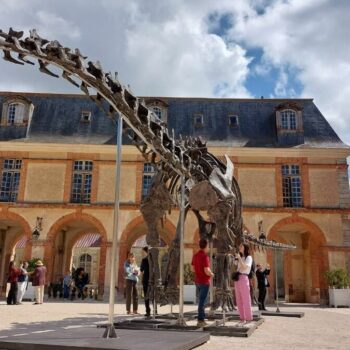 Yvelines : le plus grand dinosaure jamais mis en vente aux enchères exposé au château de Dampierre