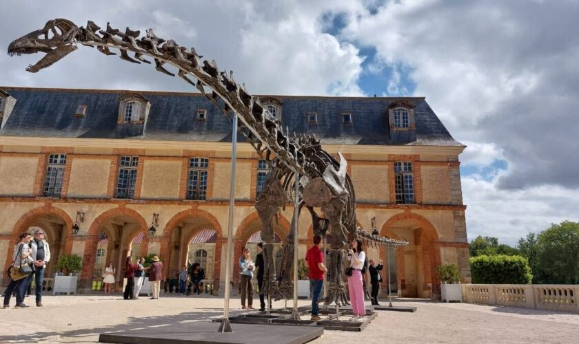 Yvelines : le plus grand dinosaure jamais mis en vente aux enchères exposé au château de Dampierre