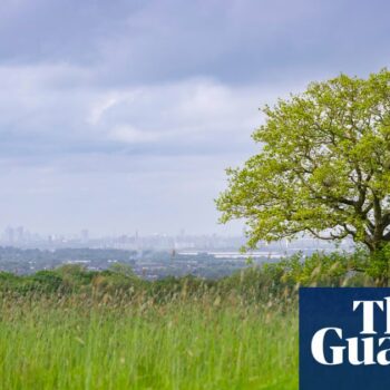 ‘Really special’: Farm near London to be rewilded to enable new housing in Essex