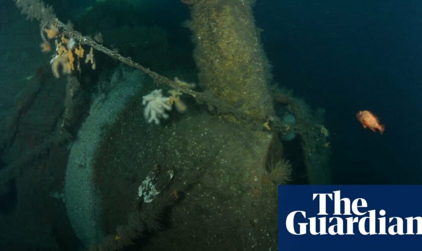 ‘Virtually intact’ wreck off Scotland believed to be Royal Navy warship torpedoed in first world war