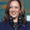 Virtuelle Abstimmung: So läuft Kamala Harris’ Nominierung ab