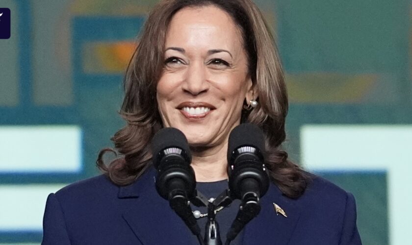 Virtuelle Abstimmung: So läuft Kamala Harris’ Nominierung ab