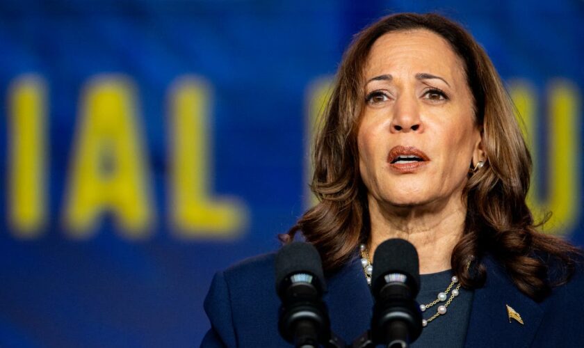 Harris blasts Trump attacks on her heritage as ‘same old show of divisiveness’ at Texas sorority event: Live