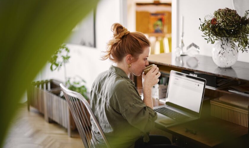 Mobile Arbeit: Grüne fordern Recht auf Homeoffice