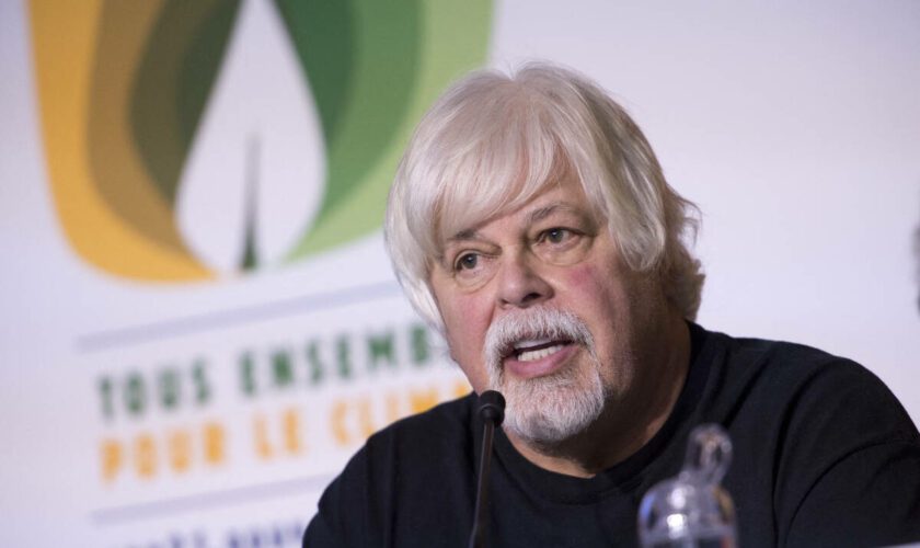 Arrestation de Paul Watson : le Japon demande au Groenland l’extradition du militant anti-chasse à la baleine