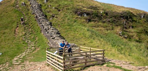 Sycamore Gap in England: Am Robin-Hood-Baum wachsen neue Triebe