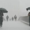 People with umbrellas walking in the rain on Millennium Bridge, London. After weeks of sweltering weather, which has caused drought and left land parched, the Met Office's yellow thunderstorm warning forecasts torrential rain and thunderstorms that c