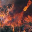 Feux de forêts : avec la canicule dans le Sud-Est, les pompiers sont sur le qui-vive