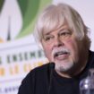 Chasse à la baleine ​​​​​​​: le Japon demande l'extradition de Paul Watson, détenu au Groenland