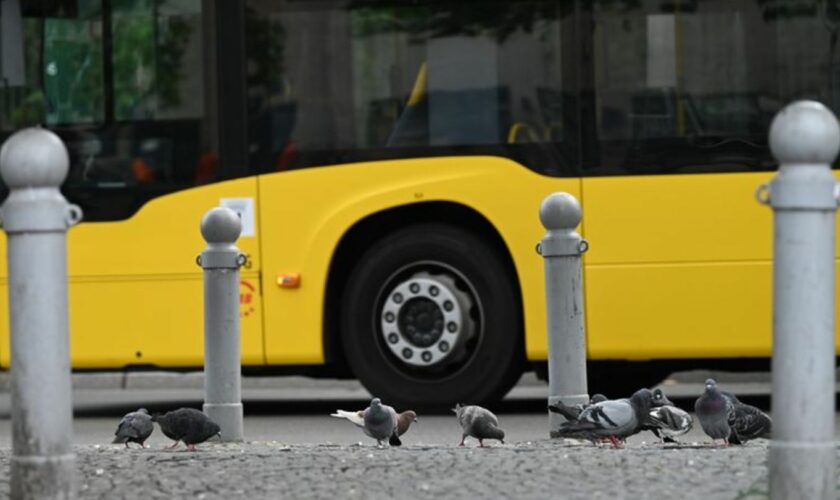 Die meisten Kunden steigen schon mit gültigen Fahrkarten ein. (Archivbild) Foto: Helena Dolderer/dpa