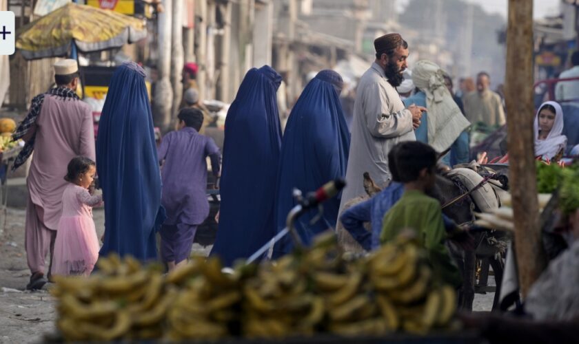 Aufnahme für Afghanen: „So zu warten, treibt uns in den Wahnsinn“