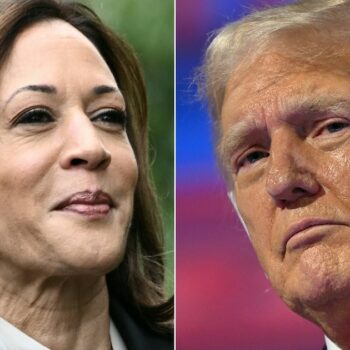 Kamala Harris vs Donald Trump : ce que disent les derniers sondages