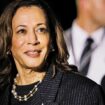 US-Präsidentschaftswahlen: Harris erhält genug Delegiertenstimmen für Präsidentschaftskandidatur