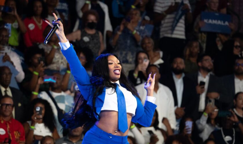 Megan Thee Stallion defends twerking at Kamala Harris rally