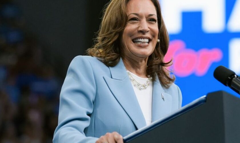 US-Vizepräsidentin Kamala Harris hat sich bei einer Online-Abstimmung der Demokraten die notwendige Mehrheit der Delegiertenstim