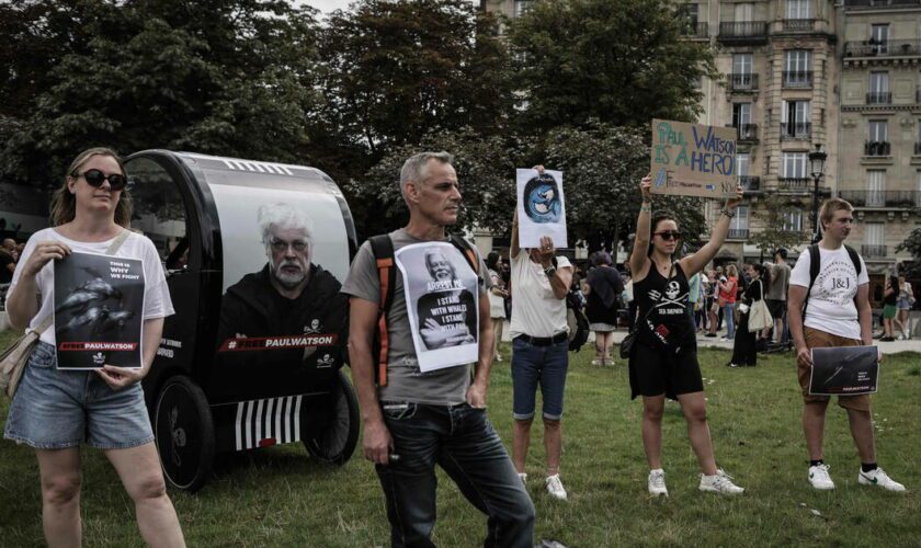 Au rassemblement parisien en soutien à Paul Watson : «Il a sauvé des baleines mais à la fin, c’est lui qui est emprisonné»