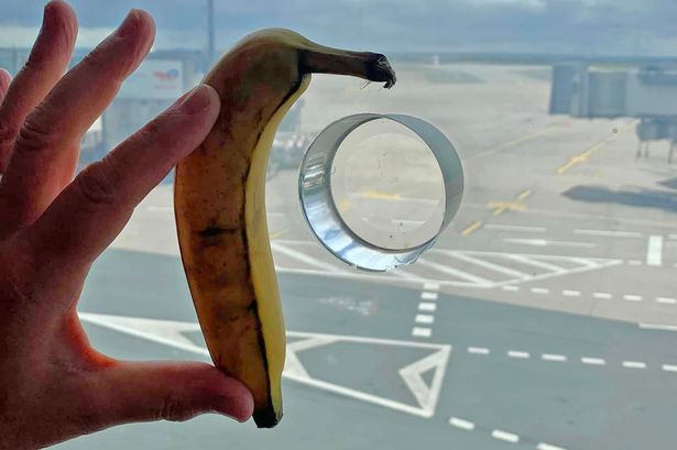 Mystery of why there are holes in airport windows solved – with help from banana