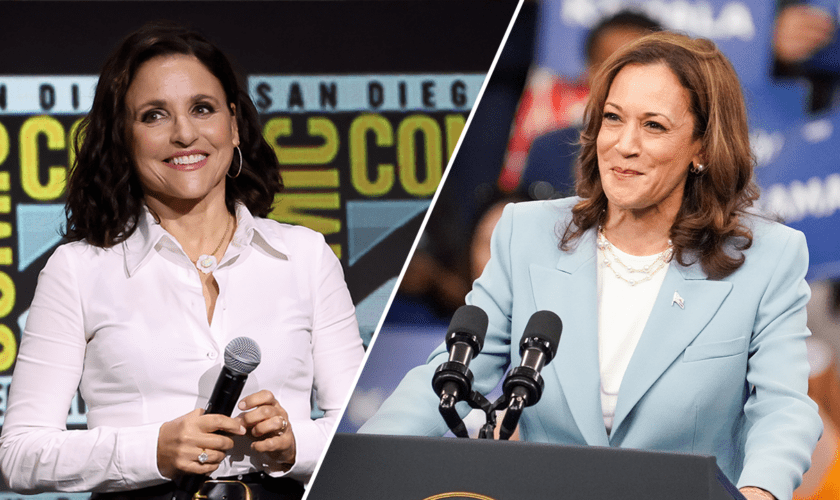 Julia Louis-Dreyfus is 'delighted' by 'Veep' resurgence after Harris bid, hopes it helps her campaign