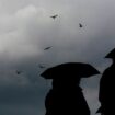 Der DWD sagt Schauer und vereinzelte Gewitter für Mecklenburg-Vorpommern voraus. Am Nachmittag ziehen die Regenwolken vorasussic