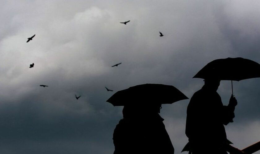 Der DWD sagt Schauer und vereinzelte Gewitter für Mecklenburg-Vorpommern voraus. Am Nachmittag ziehen die Regenwolken vorasussic