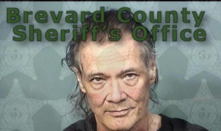 Florida man arrested after lassoing an alligator, tying it to a fence and calling 911