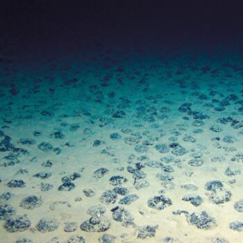 Die Rohstoff-Schätze der Tiefsee brauchen unseren Schutz