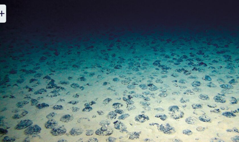 Die Rohstoff-Schätze der Tiefsee brauchen unseren Schutz