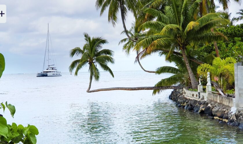 Surfen und Staunen auf Tahiti